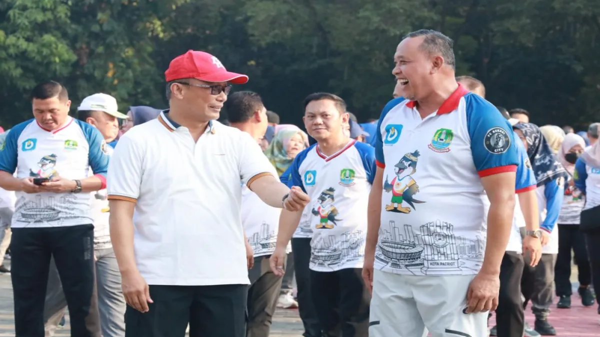 img_6a975fb88706e.webp