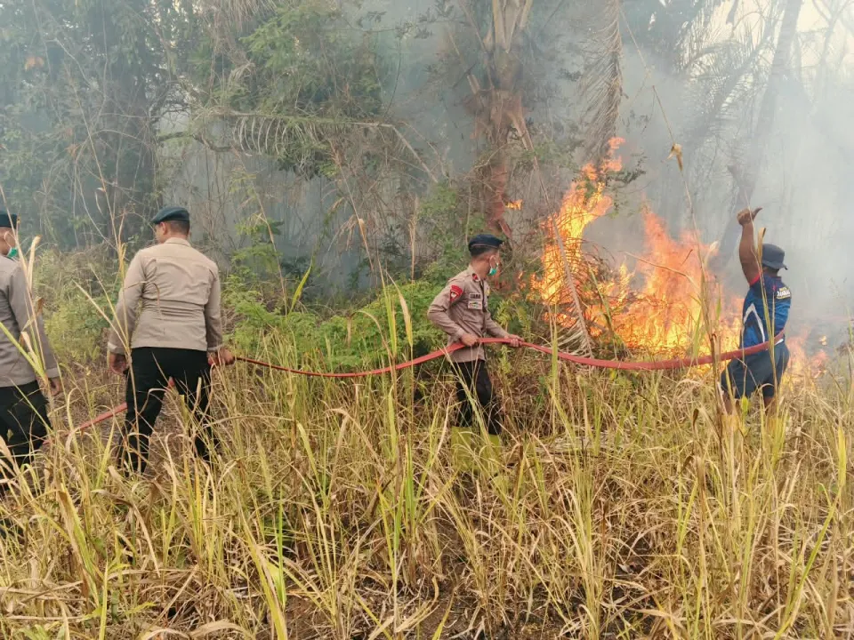 Brimob Maluku Utara Padamkan Kebakaran Lahan di Halmahera Timur, Setengah Hektare Terbakar