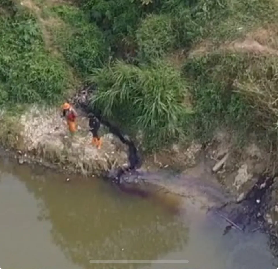 DLH Kota Bekasi Telusuri Kematian Ikan di Kali Bekasi, Hasil Uji Laboratorium Jadi Penentu Penindakan