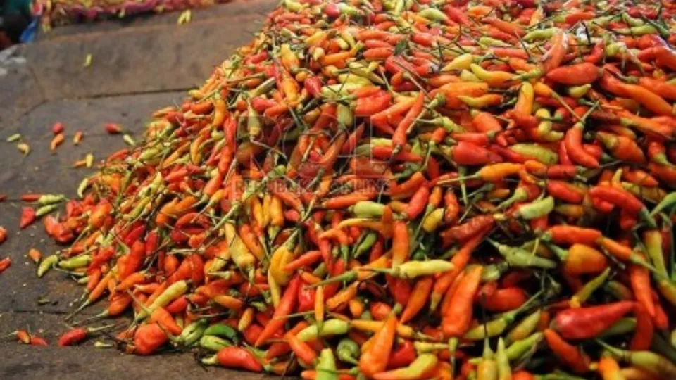 Hari Ini Harga Pangan Hari Kemerdekaan Naik, Bawang dan Cabai Melonjak hingga 48 Persen