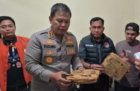 Polres Metro Bekasi Kota Sita 44 Kg Ganja, Satu Tersangka Jaringan Narkoba Ditangkap