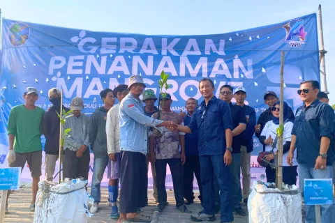 Terbaru HUT ke-14, IWO Pusat dan Daerah Tanam Ribuan Mangrove di Tanjung Pasir