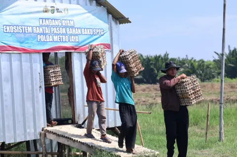 Panen 3.000 Telur di Bekasi, Polda Metro Jaya Salurkan ke SPPG 