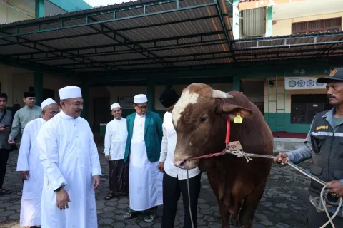 Presiden Prabowo Salurkan Sapi Kurban 1,2 Ton untuk Warga Bekasi, Harris Bobihoe Serahkan Langsung di Jatiasih