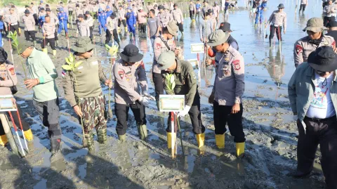Green Policing Polda Aceh: Tanam 10 Ribu Mangrove untuk Lindungi Pesisir dan Dorong Ekonomi Desa