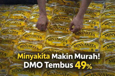Minyakita Makin Murah! DMO Tembus 49%, Strategi Pemerintah Mulai Tekan Harga dan Amankan Pasokan Nasional