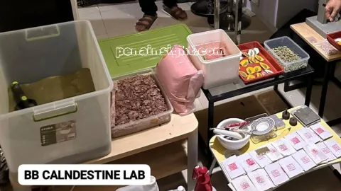 Mengejutkan! Fakta Terbaru Lab Narkoba di Jakarta Timur Dibongkar, Polisi Temukan 16 Kg Bahan dan 33 Ribu Ekstasi